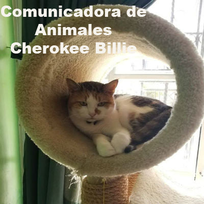Comunicadora de Animales Cherokee Billie