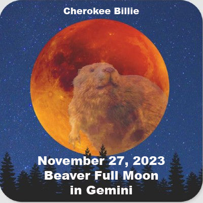 Beaver Full Moon November 27, 2023 in Gemini