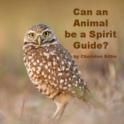 Can an Animal be a Spirit Guide?