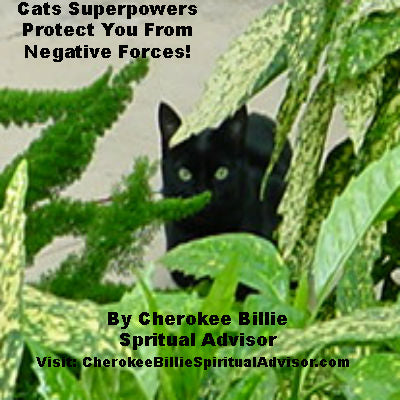 Cats Superpowers Protect You From Negative Forces!