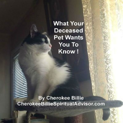 What Your Deceased Pet Wants You To Know After Life!