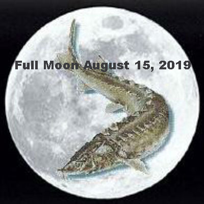 Full Moon August 15, 2019 in Aquarius