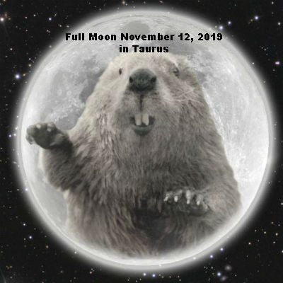 Full Moon November 12, 2019 in Taurus.  The Beaver Moon
