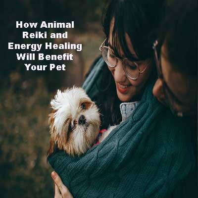 How Animal Reiki Energy Healing Will Benefit Your Pet