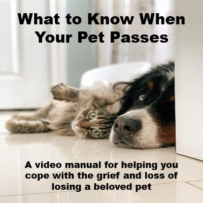 What to Know When Your Pet Passes