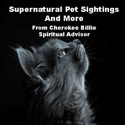Supernatural Pet Sightings And More