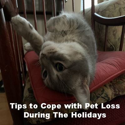 Tips to Cope with Pet Loss During The Holidays