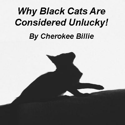 Why Black Cats Are Considered Unlucky!