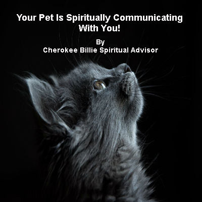 Your Pet Is Spiritually Communicating With You!