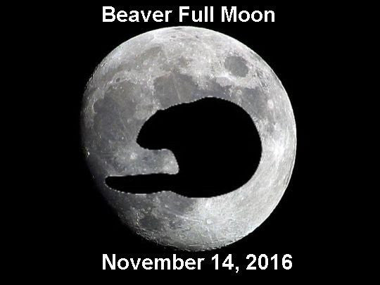 Full Moon November 14, 2016